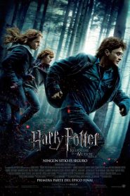 Harry Potter y las reliquias de la muerte: Parte 1