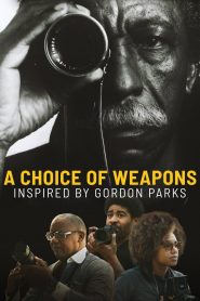 Una Elección De Armas Inspirados Por Gordon Parks