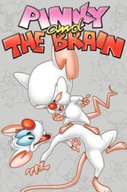 Pinky y Cerebro